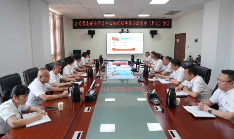 中國化學四化建舉行黨委理論學習中心組2025年第六次集中(擴大)學習